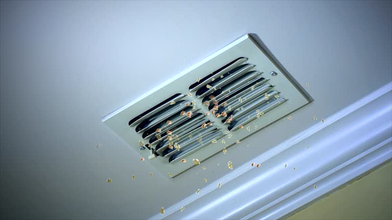 Best Ductwork Cleaning Services  in Blackhawk, SD